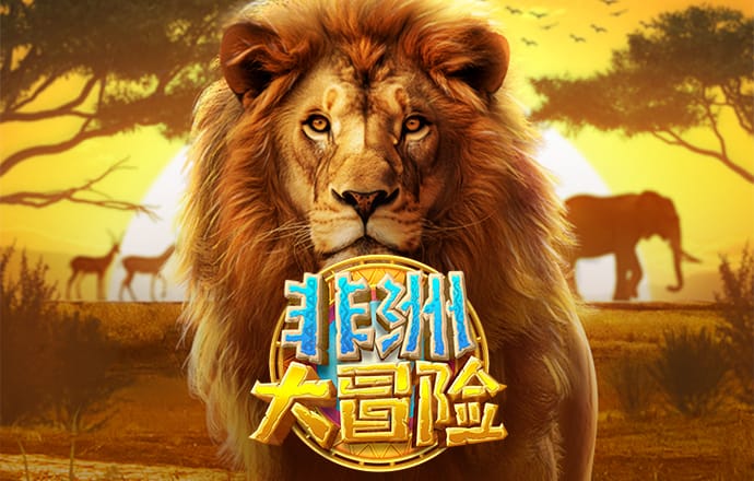 49图库资料